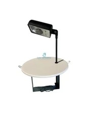 Lumina 04 Daphine Vertieft