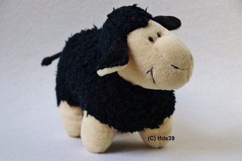 Nici schaf schwarz jolly - nici, mäh