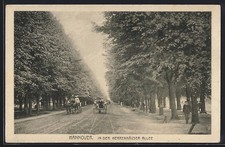 Ansichtskarte Hannover, Kutschen auf der Herrenhäuser Allee 
