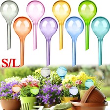 5-20stk. Große Pflanzen