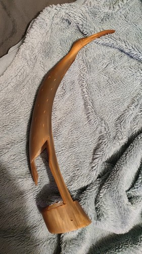 Graureiher aus horn - aus,