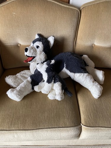 Ikea hund husky livlig mit - hund,