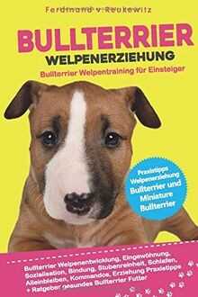 Bullterrier welpenerziehung - bullterrier,