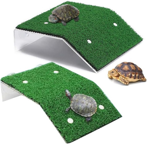 Schildkröten kletterplattform - schildkröten,