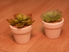 2 Kunstpflanzen - Sukkulenten mit Übertopf - rund