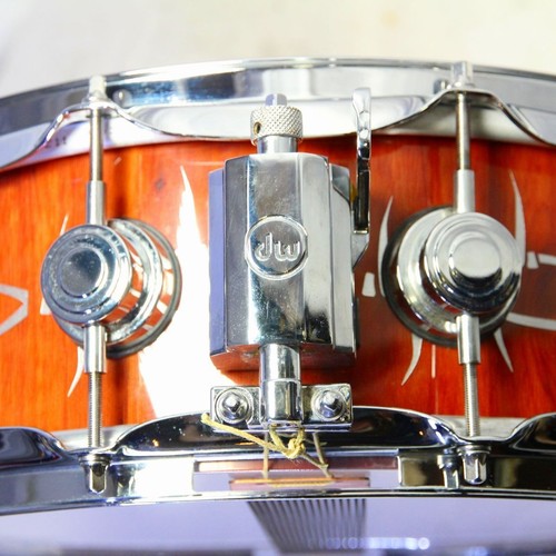2005 collectors maple - dw,