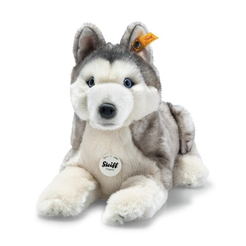 Bernie husky liegend von - bernie,