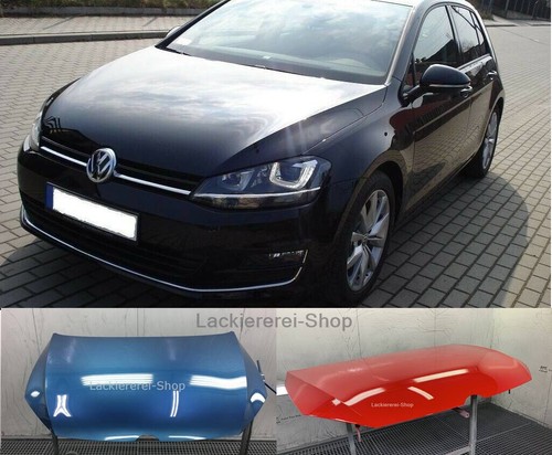 Motorhaube lackiert ihrer - lackiert, in