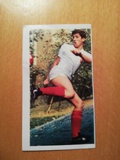 Sicker Bundesliga Asse 1966/67