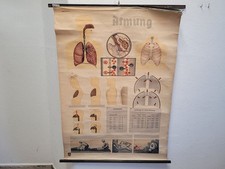 Lehrtafel Karte Atmung