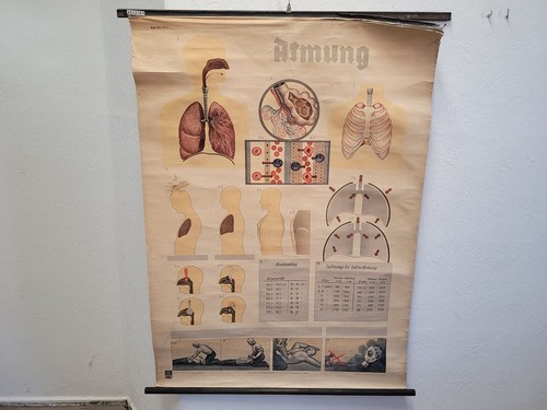 Lehrtafel karte atmung - karte,
