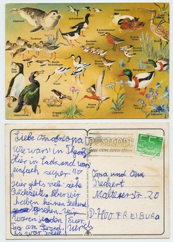 119840 nordsee fauna - 119840, und