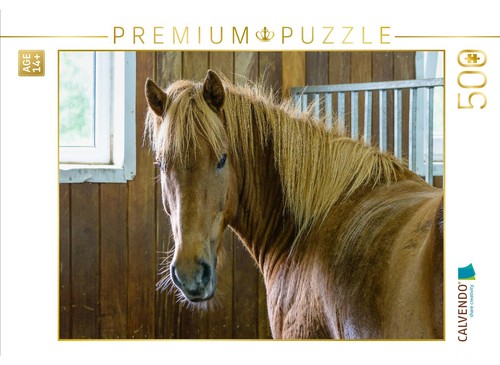 Calvendo puzzle islandpferd - puzzle,
