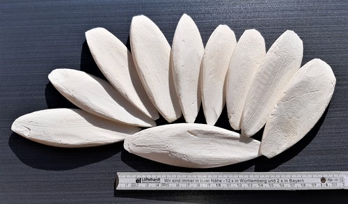 Sepiaschalen 12 15 - sepiaschalen,,