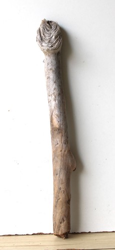 Treibholz schwemmholz - treibholz,