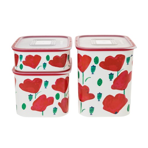 Tupperware quadro 1 3 - quadro, 2,1