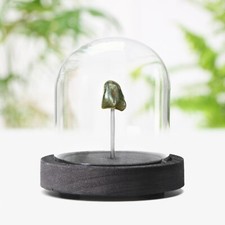 Sikhote alin meteorit glocke - sikhote-alin,