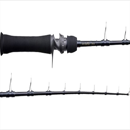 Tenryu baitcastrute jig zam - tenryu,