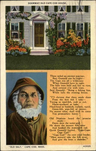 Usa vintage postcard - vintage, cape