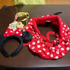 Minnie Maus Ohren & Kostüm
