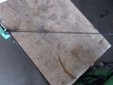 Dachantenne Citroen Bj 2004