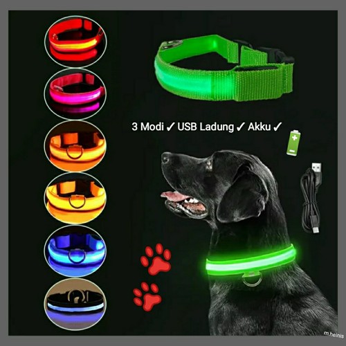 Premium hunde halsband led - ✅premium,