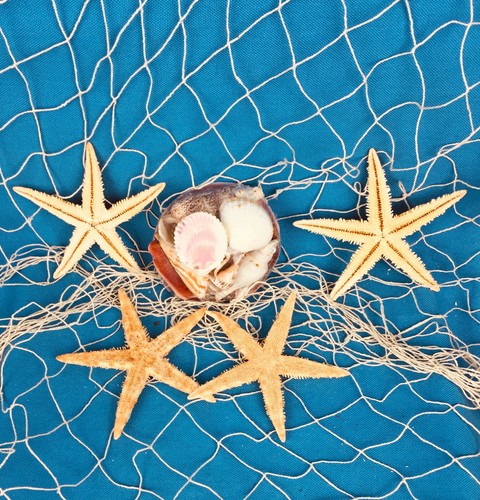 Muschelkorb mit echten - muschelkorb,