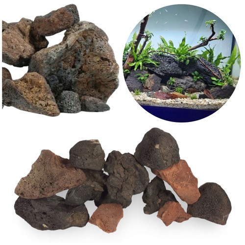 Aquarium akvariendekoration - aquarium,