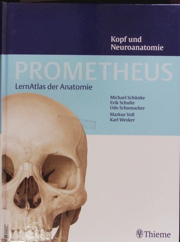 Kopf und neuroanatomie - kopf,