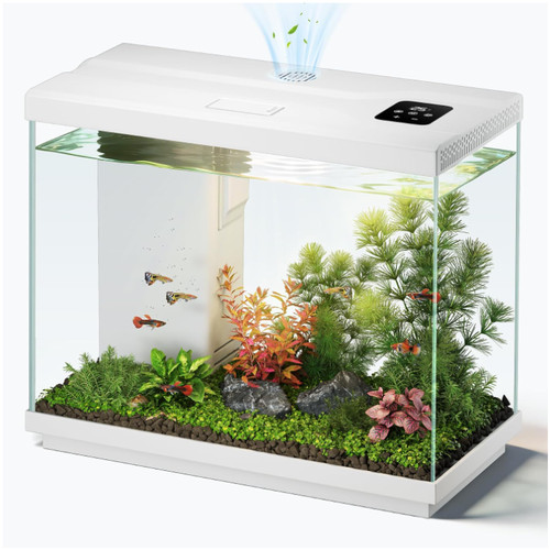 Evieun nano aquarium - evieun,