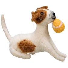 Jack Russell Terrier with Ball
