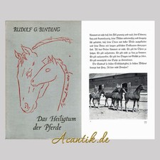 Trakehner Pferdezucht