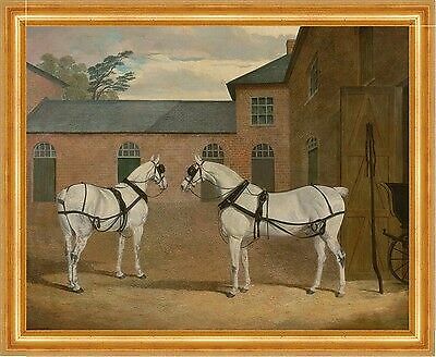 Grey carriage horses zugpferde - grey,