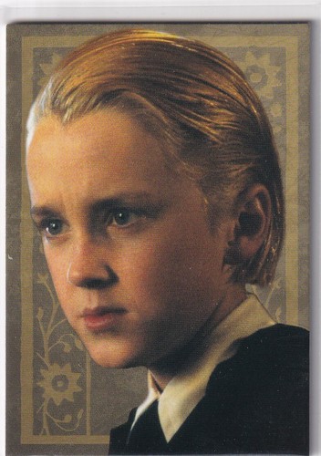 Panini harry potter evolution - potter,