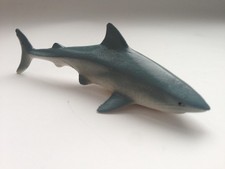 Bullenhai - Haifisch - Hai -