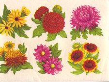 DDR Abziehbilder Schiebebilder