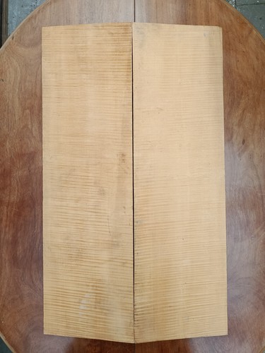 Tonholz cello boden ahorn - tonholz,