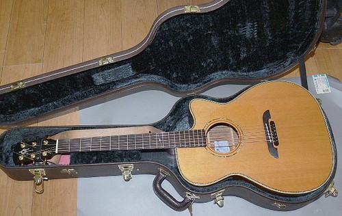 Elektrische akustikgitarre - elektrische,