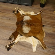 Mufflon Fell Vorleger Länge