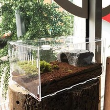 Mini Terrarium