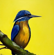 Eisvogel Vogel Ölgemälde auf