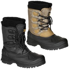 Fox outdoor - fox,