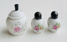 Thomas Germany Porzellan Set