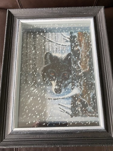 Wolf verschneiten wald - wolf,