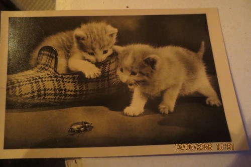 Alte postkarte gelaufen - postkarte,