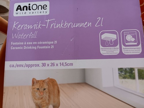 Trinkbrunnen für katzen - trinkbrunnen,