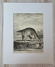 1767 Lithographie Kunstdruck