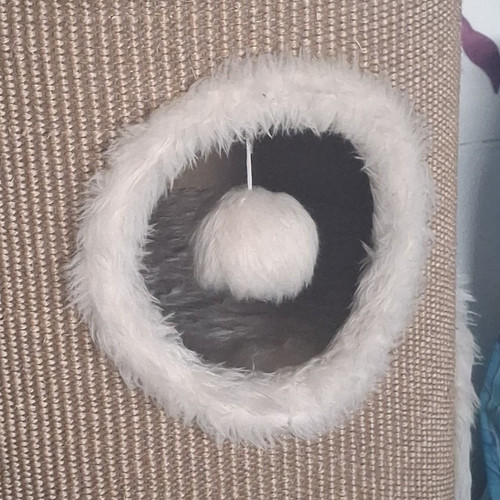 Kratztonne beige aus - , sisal