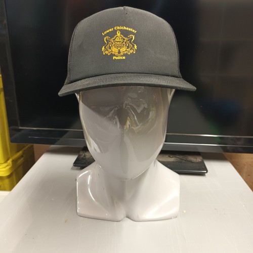 Lower chichester police - chichester,