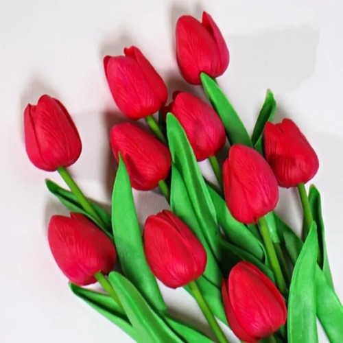 Tulpen frühlingsdekoration - tulpen,